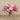 Floral Arrangement-Artificial Dahlia & Ranunculus Arrangement-Bloomr