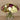 Floral Arrangement-Artificial Mixed Flower Arrangement in Glass Vase-Bloomr