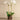 Flowers-Big Sur Artificial Orchid Arrangement-Bloomr