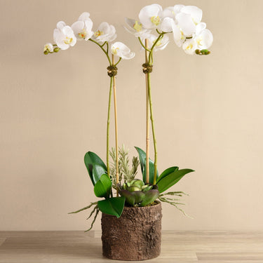Flowers-Big Sur Artificial Orchid Arrangement-Bloomr