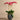 Flowers-Coastal Artificial Orchid Arrangement-Bloomr