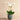 Flowers-Coastal Artificial Orchid Arrangement-Bloomr