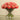 Floral Arrangement-Artificial Ranunculus Arrangement in Glass Vase-Bloomr