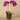 Flowers-Artificial Orchid Arrangement-Bloomr