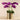 Flowers-Artificial Orchid Arrangement-Bloomr