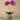 Flowers-Artificial Orchid Arrangement-Bloomr