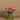 Flowers-Artificial Calla Lilly in Glass Vase-Bloomr