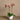 Flowers-Artificial Orchid Arrangement-Bloomr