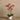 Flowers-Artificial Orchid Arrangement-Bloomr