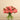 Flowers-Artificial Peony Arrangement in Glass Vase-Bloomr