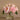 Flowers-Artificial Peony Arrangement in Glass Vase-Bloomr