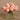 Flowers-Artificial Rose Arrangement in Glass Vase-Bloomr