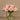 Flowers-Artificial Rose Arrangement in Glass Vase-Bloomr