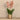 Flowers-Artificial Vanda Arrangement-Bloomr