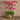 Flowers-Artificial Orchid Arrangement-Bloomr