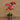 Flowers-Artificial Orchid Arrangement-Bloomr