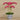Flowers-Artificial Orchid Arrangement-Bloomr