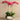 Flowers-Greenhouse Artificial Orchid Arrangement-Bloomr