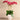 Flowers-Moroccan Orchid Arrangement-Bloomr