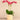 Flowers-Orchid Arrangement in Ceramic Vase-Bloomr