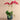Flowers-Pearl Orchid Arrangement-Bloomr