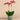 Flowers-Pearl Orchid Arrangement-Bloomr