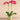 Flowers-Sphinx Orchid Arrangement-Bloomr