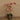 Flowers-Artificial Orchid Arrangement-Bloomr