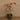Flowers-Artificial Orchid Arrangement-Bloomr