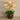 Flowers-Artificial Orchid Arrangement-Bloomr