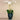 Flowers-Artificial Orchid Arrangement-Bloomr