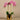 Flowers-Artificial Orchid Arrangement-Bloomr
