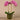 Flowers-Artificial Orchid Arrangement-Bloomr