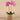 Flowers-Artificial Orchid Arrangement-Bloomr