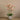 Flowers-Artificial Orchid Arrangement-Bloomr