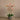 Flowers-Artificial Orchid Arrangement-Bloomr