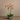 Flowers-Artificial Orchid Arrangement-Bloomr