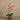 Flowers-Artificial Orchid Arrangement-Bloomr