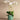 Flowers-Placid Orchid Arrangement-Bloomr