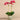Flowers-Artificial Orchid Arrangement-Bloomr