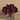 Floral Arrangement-Velvet Magnolia in Glass Vase-Bloomr