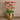 Flowers-Artificial Orchid Arrangement-Bloomr