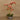 Flowers-Artificial Orchid Arrangement-Bloomr