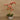 Flowers-Artificial Orchid Arrangement-Bloomr
