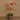 Flowers-Artificial Orchid Arrangement-Bloomr