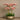 Flowers-Oasis Artificial Orchids in Gold Pot-Bloomr