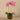 Flowers-Artificial Orchid Arrangement-Bloomr