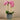 Flowers-Artificial Orchid Arrangement-Bloomr