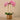 Flowers-Artificial Orchid Arrangement-Bloomr