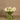 Flowers-Artificial Calla Lilly in Glass Vase-Bloomr